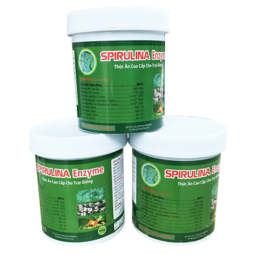 Spirulina Enzyme (100gr)